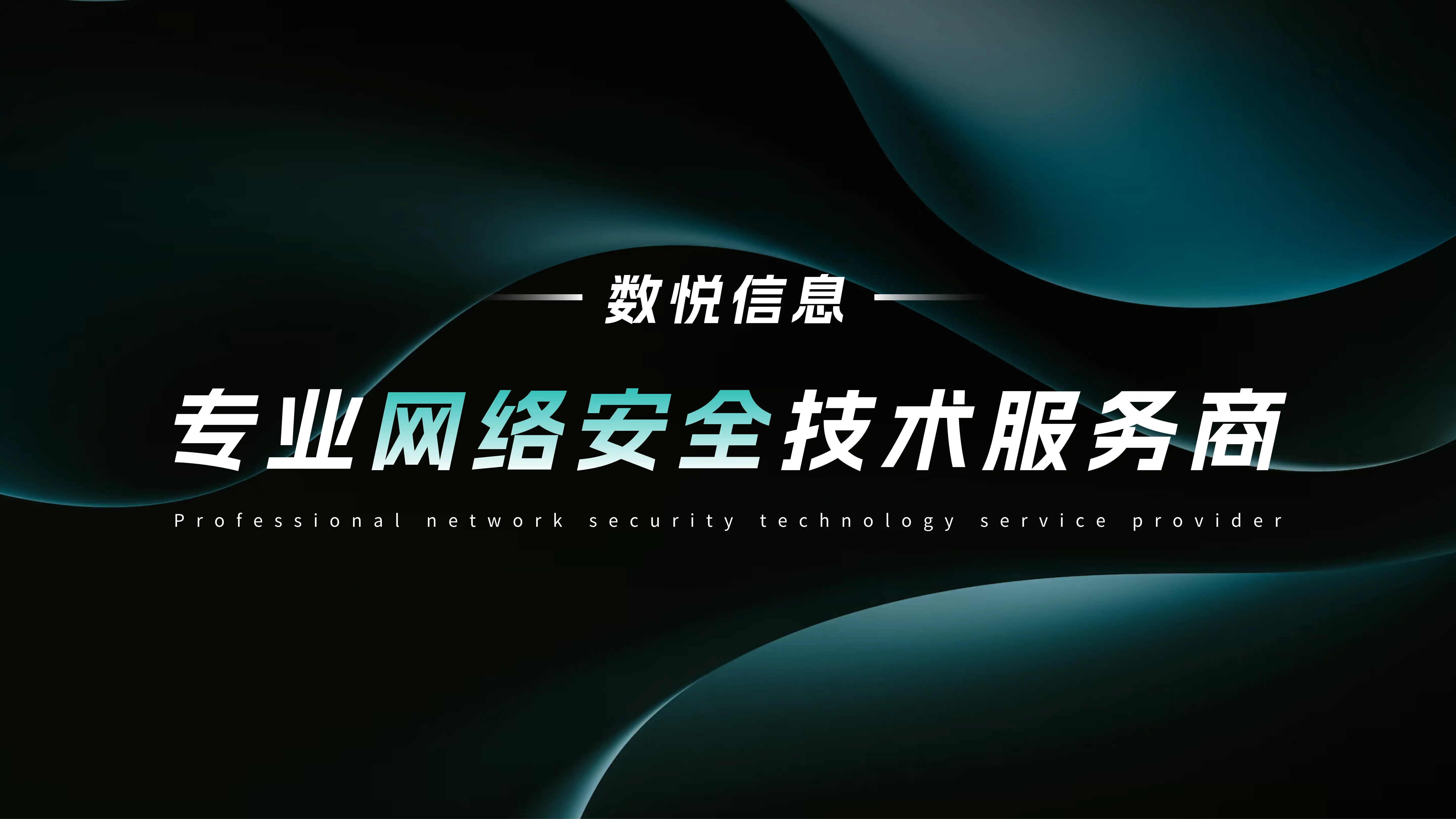 专业网络安全技术服务商